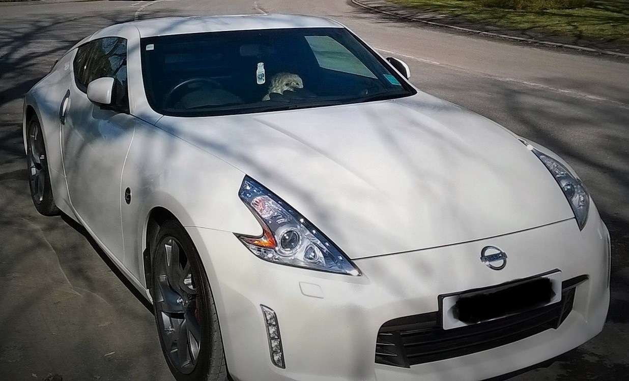 White Z