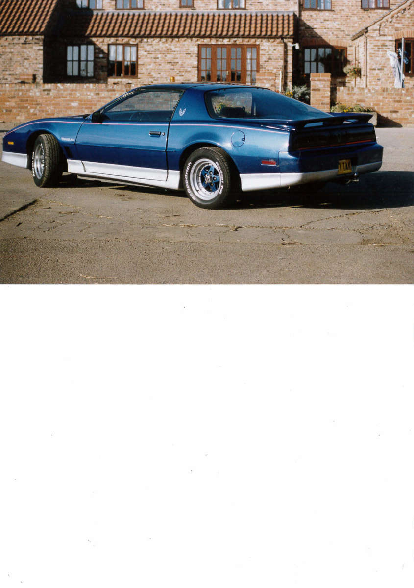 TransAM.jpg.d0cd270d3c94e9734cc132ff3fe69789.jpg